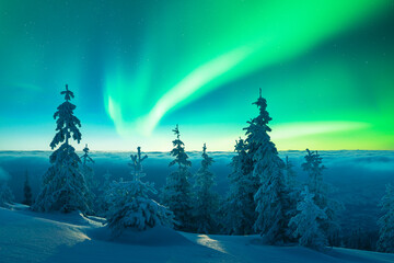 Wall Mural - fairy winter mountains with snowy fir-trees and incredible northern lights in starry sky. christmas 