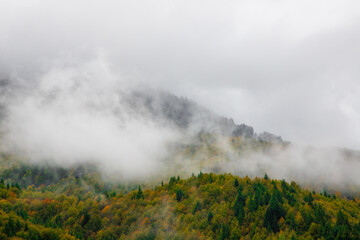 Steam over the yellowed forest. Clouds above a mountain with autumn forest