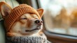 © Maximages  - A content dog wearing a brown hat and cozy sweater closes its eyes, relishing a scenic car journey, embodying the cozy joy of a peaceful winter adventure.