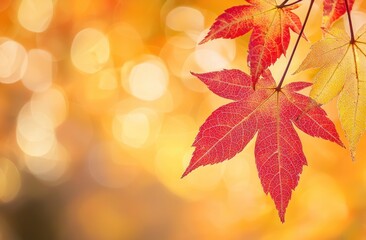 Wall Mural - Colorful Autumn Leaves on Blurred Orange Background Generative AI