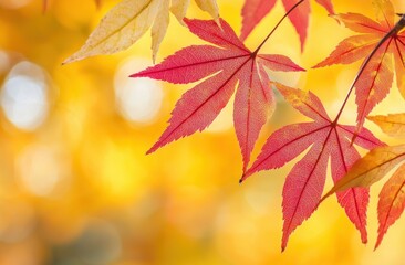 Wall Mural - Colorful Autumn Leaves on Blurred Orange Background Generative AI