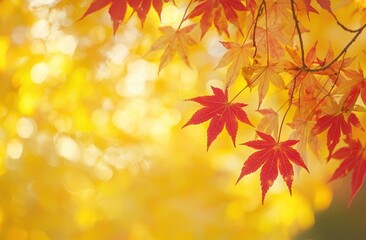 Wall Mural - Colorful Autumn Leaves on Blurred Orange Background Generative AI