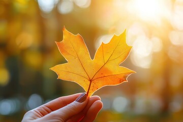 Wall Mural - Hand holding a yellow maple leaf with a heart-shaped cutout, symbolizing love and autumn against a soft blurred background Generative AI