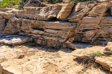 Wall Mural - A rocky cliff with a few plants growing on it