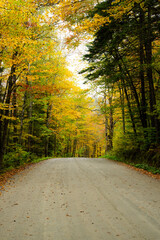 Fall Leaves in New England Autumn, Vermont, New Hampshire, Massachusetts, Maine. 