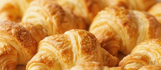 Macro Closeup of Plain Butter Croissant in Bakery for Breakfast