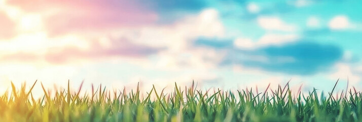 Wall Mural - Close-up of green grass blades against a soft, pastel sky.