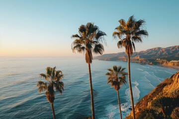 Wall Mural - A beautiful beach scene with palm trees and ocean waves