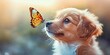 © Orod - A brown and white puppy with large eyes gazing at a vibrant orange monarch butterfly in mid-air