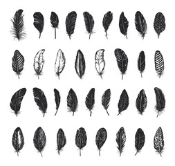Wall Mural - vintage black fluffy feathers set retro linocut print style elegant feather icons collection detaile