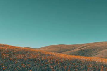 Canvas Print - Orange Wildflowers in a Rolling Green Field Under a Teal Sky