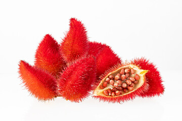 Poster - Bixa Orellana - Red annatto seeds for cooking and food coloring.