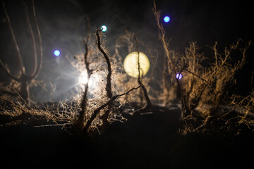 Wall Mural - spooky dark landscape showing silhouettes of trees in the swamp on misty night.
