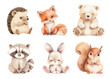 © ssstocker - Watercolor forest animals. Cartoon cute nursery baby fox hedgehog bear racoon bunny rabbit squirrel set vector illustration