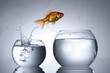 © StreamPixel - A photo of a goldfish leaping from a smaller fish bowl into a larger one, symbolizing growth, opportunity, and the pursuit of new horizons.