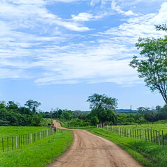 camino tierra campestre