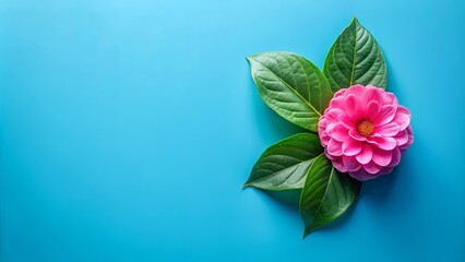 A vibrant pink blossom nestled amongst lush green leaves, a simple yet elegant display of natural beauty against a bright blue backdrop.