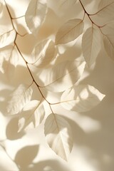 Aufkleber - Soft, translucent leaves cast gentle shadows on a light background, creating a serene and airy natural ambiance.