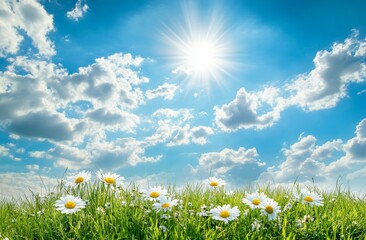 Wall Mural - a field of daisies under a bright blue sky with fluffy clouds and a shining sun.