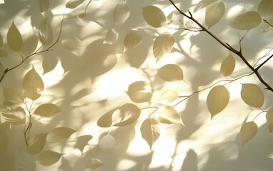 Aufkleber - A soft, ethereal pattern of light and shadow created by delicate leaves against a pale background.