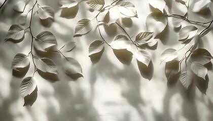 Leinwandbilder - A soft interplay of light and shadow reveals delicate leaves on a textured background, creating a serene and calming atmosphere.
