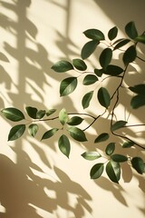 Aufkleber - A branch of green leaves casts delicate shadows on a light-colored wall, creating a serene and tranquil atmosphere.