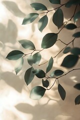 Leinwandbilder - A soft and serene composition of leaves casting shadows against a light background, creating a natural and calming aesthetic.