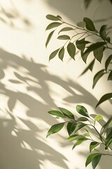 Leinwandbilder - A serene image of green leaves casting shadows on a light-colored wall, creating a tranquil and natural ambiance.