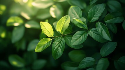 Lush green leaves glisten in soft sunlight, showcasing vibrant hues and intricate textures that evoke a sense of tranquility and nature.