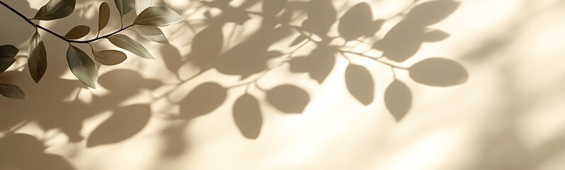 Poster - Soft shadows of leaves dance on a light wall, creating a calm and serene atmosphere with a touch of nature's beauty.