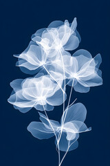 Sticker - a Verbena elegant abstract navy blue background with transparent flower