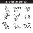© Mamun - Simple line set of bird icons. Premium quality objects. Vector signs isolated on a white background. Pack of bird pictograms.