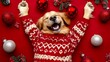 © F - Golden retriever wearing a Christmas sweater surrounded by holiday decorations in a joyful festive scene, featuring high-quality rendering with a warm and cheerful holiday atmosphere