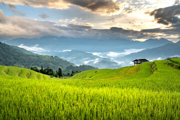 Poster - Community tourism - Nam Hong village is one of the attractive destinations. This is a place with beautiful natural landscapes, where mountains and forests meet and terraced fields meet.