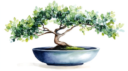 Watercolor bonsai tree in ceramic pot isolated on white background ready to bring joy to any space , cartoon drawing, water color style