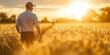 © andyaziz6 - A lone farmer walks through a golden field of wheat at sunset.