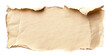 © PNGuin Studio - Torn beige paper with curled edges, isolated on transparent cutout background