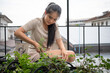 © Nassorn - Young woman taking care of her plant and vegetables on her city balcony garden. Asian female person planting green food as hobby on terrace, patio. Environmental conservation and sustainable lifestyle