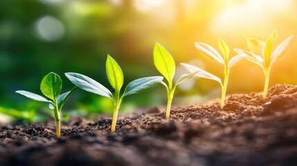 young green sprout emerging from the soil, symbolizing new life and growth in nature,generative ai