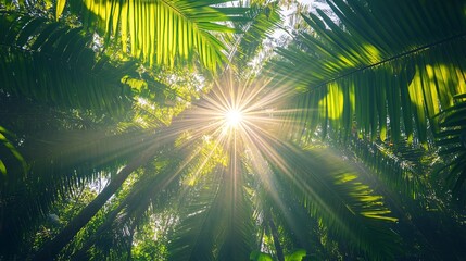 Wall Mural - sunlight shining through palm leaves in a lush tropical forest.