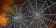 © Bay - Delicate spider webs glistening with dew in the morning light, showcasing intricate patterns against a blurred autumn backdrop