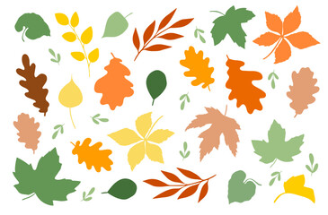 Wall Mural - autumn leaves isolated on a white background. simple vector autumn collection for greeting holiday c