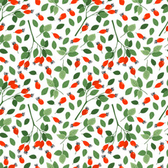 Wall Mural - vector seamless pattern with hand drawn rosehip branches and green leaves isolated on white backgrou