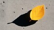 © primopiano - A bright yellow leaf lying on a textured concrete surface, casting a distinct shadow.