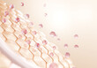 © ATKWORK888 - 3D Collagen Skin Serum and Vitamin illustration isolated on soft color background. concept skin care cosmetics solution. 3d rendering.
