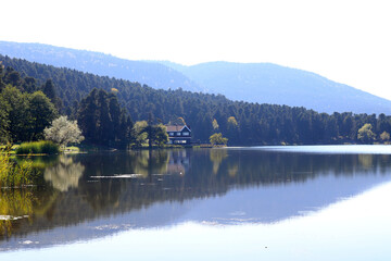 Poster - Villa by the lake. Golcuk - Bolu, Turkey