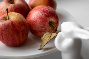 ripe red apples on white porcelain plate decorated with rabbit