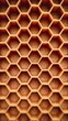 © Jaemie - Close-Up of Hexagonal Honeycomb Structure
