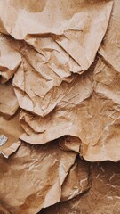 Canvas Print - Wrinkled Brown Paper Textures