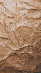 Canvas Print - Textured Brown Paper Background with Creases and Folds